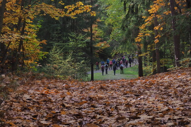 Herbstwanderung